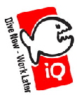 iQ-logo2005-red